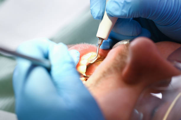Best Emergency Orthodontic Repairs in Forsgate, NJ